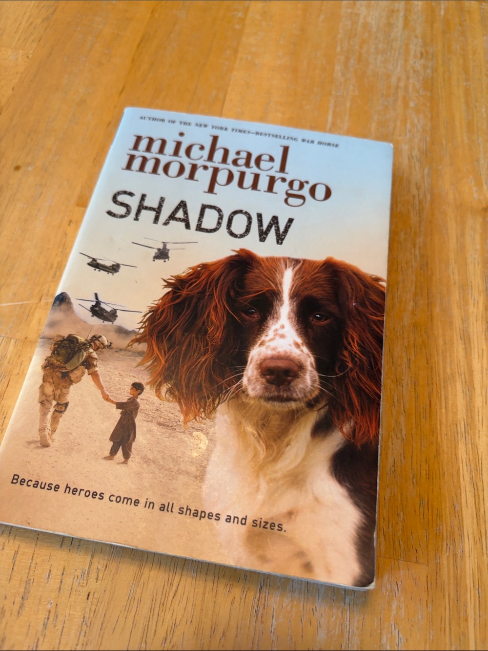 Shadow Dog Paperback Book